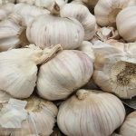 1758816817_Τι-συμβαίνει-αν-φυτέψετε-σκόρδο-δίπλα-σε-τριαντάφυλλα-η-άμυνα.jpg